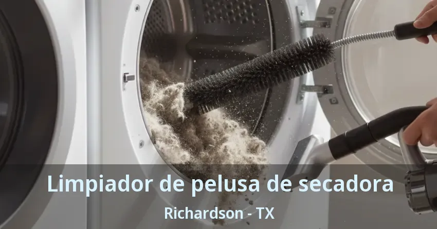 Limpiador de pelusa de secadora Richardson - TX