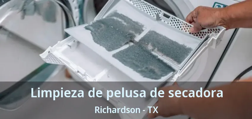 Limpieza de pelusa de secadora Richardson - TX