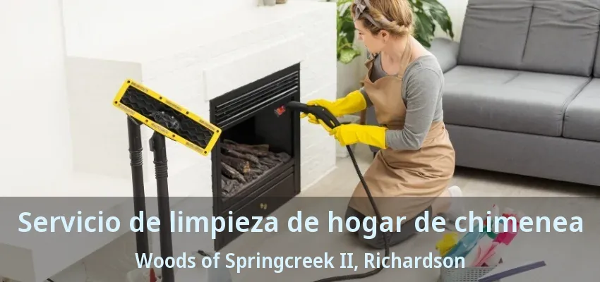 Servicio de limpieza de hogar de chimenea Woods of Springcreek II, Richardson - TX