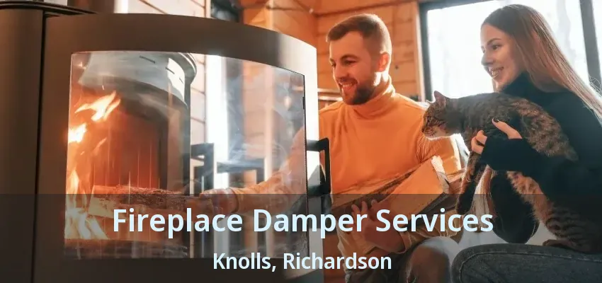 Fireplace Damper Services Knolls, Richardson - TX