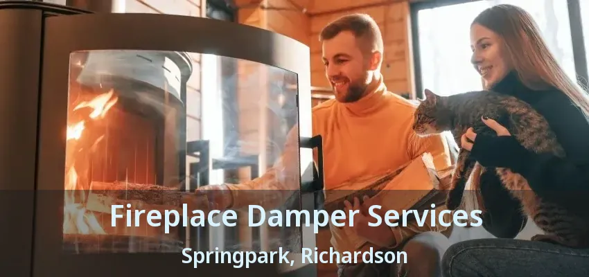 Fireplace Damper Services Springpark, Richardson - TX