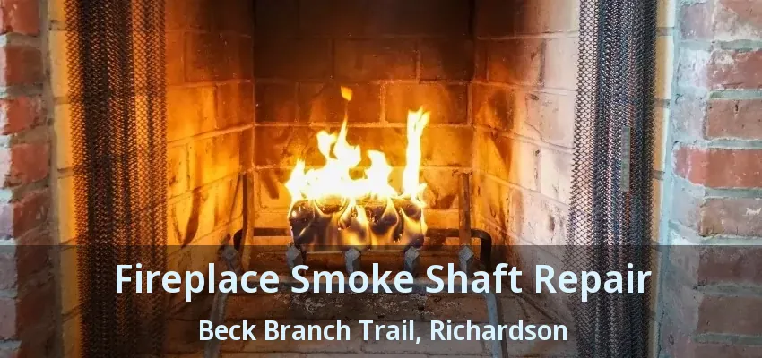 Fireplace Smoke Shaft Repair Beck Branch Trail, Richardson - TX