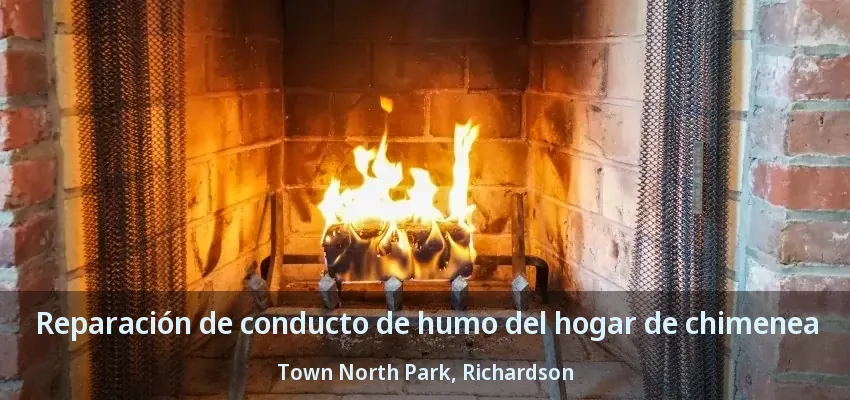 Reparación de conducto de humo del hogar de chimenea Town North Park, Richardson - TX