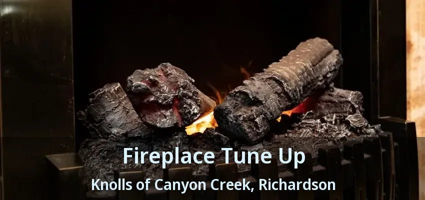 Fireplace Tune Up Knolls of Canyon Creek, Richardson - TX