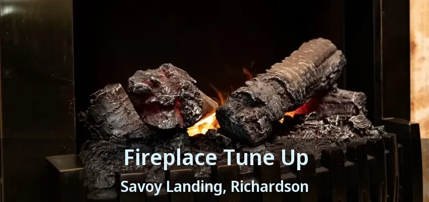 Fireplace Tune Up Savoy Landing, Richardson - TX