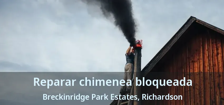 Reparar chimenea bloqueada Breckinridge Park Estates, Richardson - TX