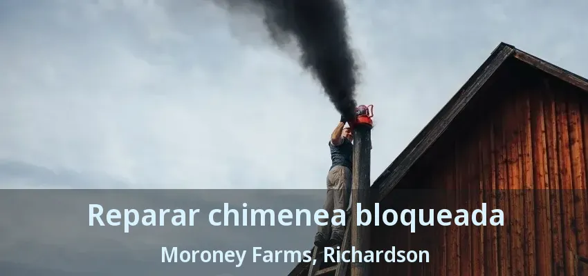 Reparar chimenea bloqueada Moroney Farms, Richardson - TX Reparar chimenea bloqueada Moroney Farms, Richardson - TX