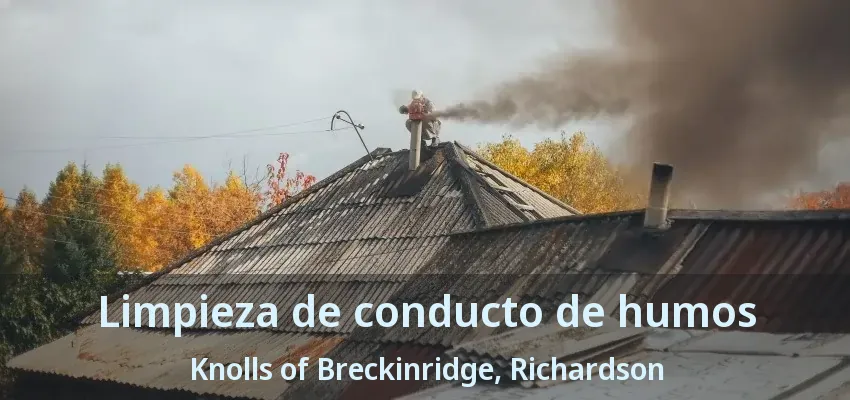 Limpieza de conducto de humos Knolls of Breckinridge, Richardson - TX