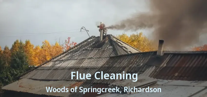 Flue Cleaning Woods of Springcreek, Richardson - TX