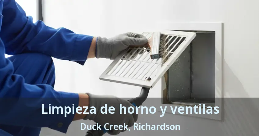 Limpieza de horno y ventilas Duck Creek, Richardson - TX