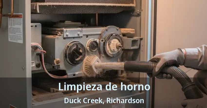 Limpieza de horno Duck Creek, Richardson - TX Limpieza de horno Duck Creek, Richardson - TX