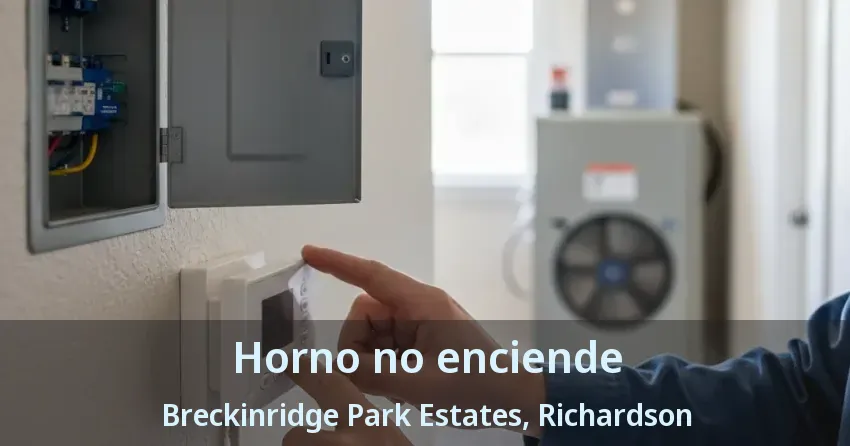 Horno no enciende Breckinridge Park Estates, Richardson - TX