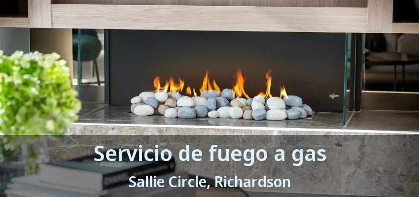 Servicio de fuego a gas Sallie Circle, Richardson - TX Servicio de fuego a gas Sallie Circle, Richardson - TX