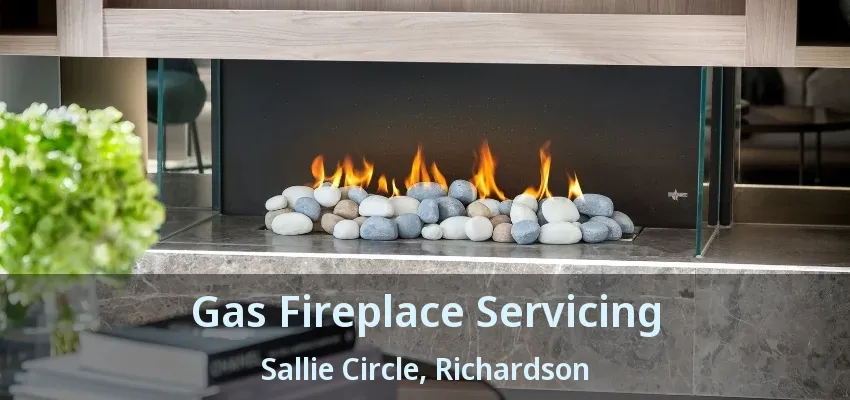 Gas Fireplace Servicing Sallie Circle, Richardson - TX