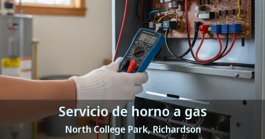 Servicio de horno a gas North College Park, Richardson - TX