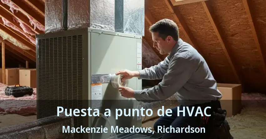Puesta a punto de HVAC Mackenzie Meadows, Richardson - TX