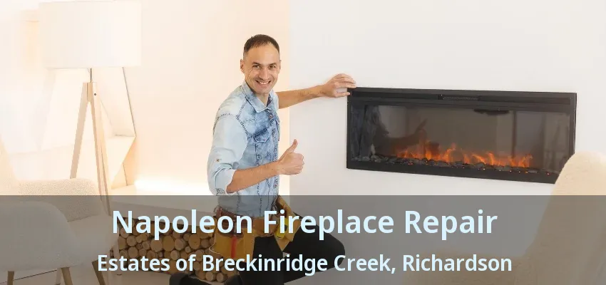 Napoleon Fireplace Repair Estates of Breckinridge Creek, Richardson - TX