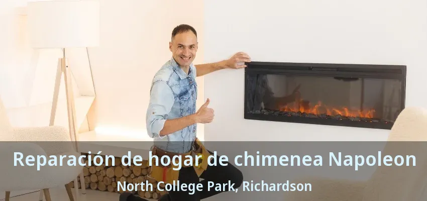 Reparación de hogar de chimenea Napoleon North College Park, Richardson - TX