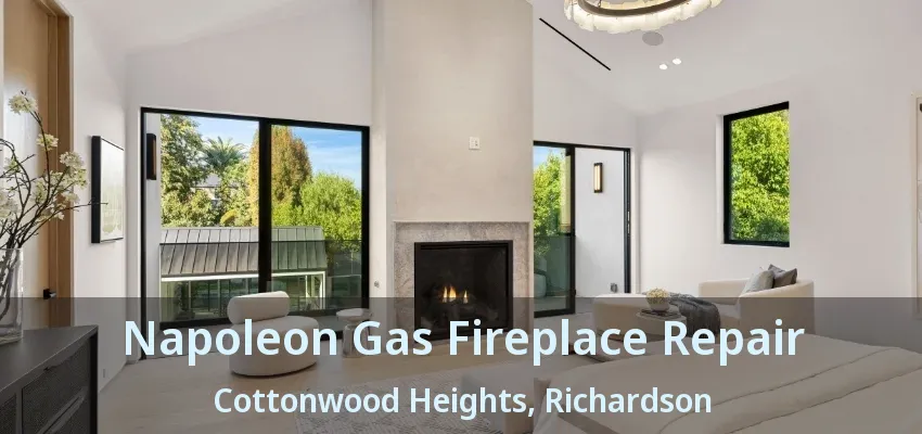 Napoleon Gas Fireplace Repair Cottonwood Heights, Richardson - TX