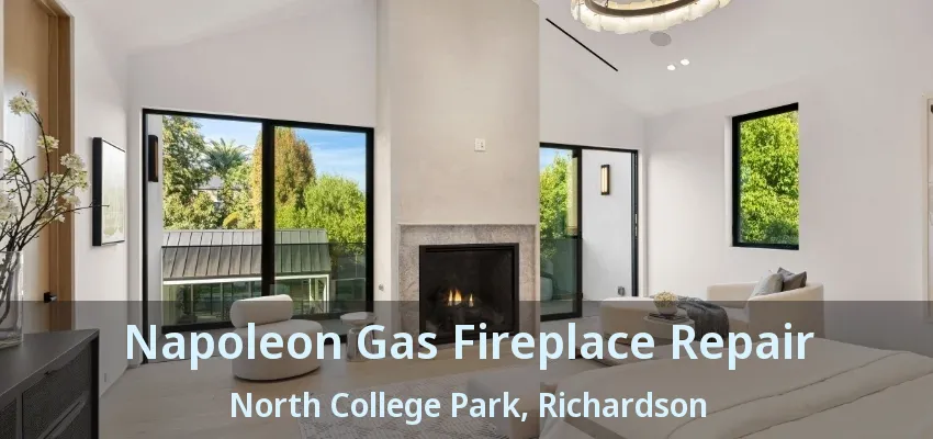 Napoleon Gas Fireplace Repair North College Park, Richardson - TX