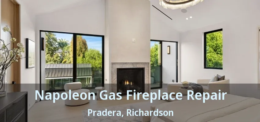 Napoleon Gas Fireplace Repair Pradera, Richardson - TX