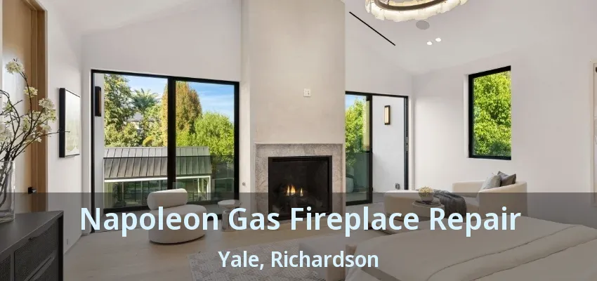 Napoleon Gas Fireplace Repair Yale, Richardson - TX