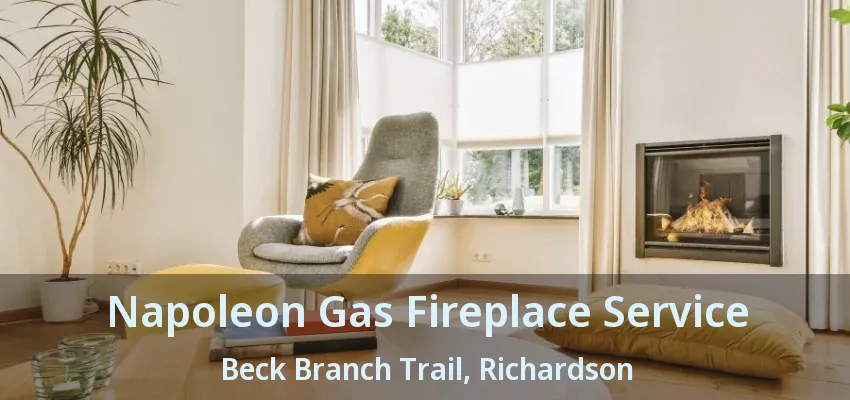 Napoleon Gas Fireplace Service Beck Branch Trail, Richardson - TX