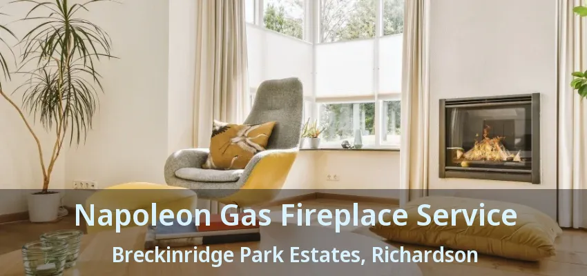 Napoleon Gas Fireplace Service Breckinridge Park Estates, Richardson - TX