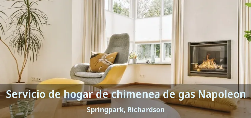 Servicio de hogar de chimenea de gas Napoleon Springpark, Richardson - TX