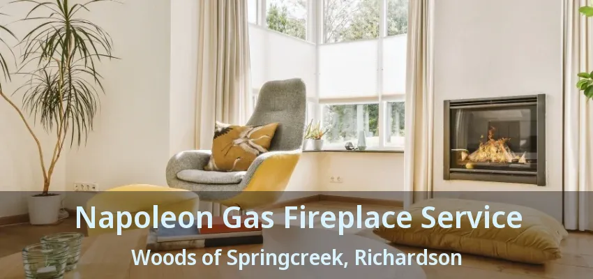 Napoleon Gas Fireplace Service Woods of Springcreek, Richardson - TX