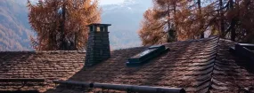 Chimney Animal Removal Richardson