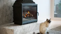 Wood Burning Fireplace Repair Richardson